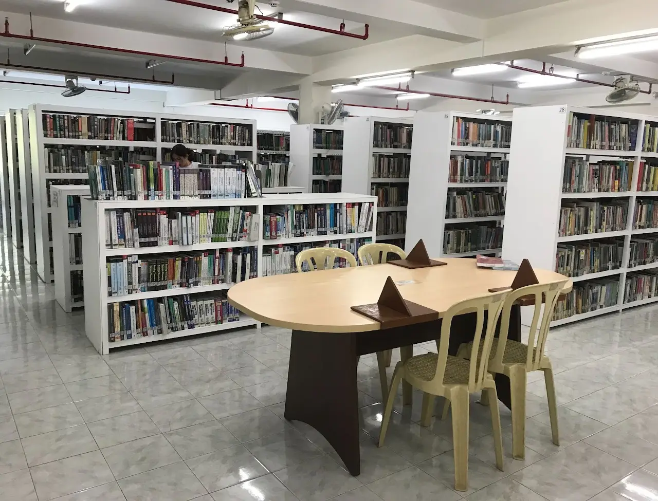 Engineering and IT section with technical books and resources